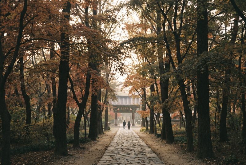 제4회 현장 — 단풍 든 사찰 산길